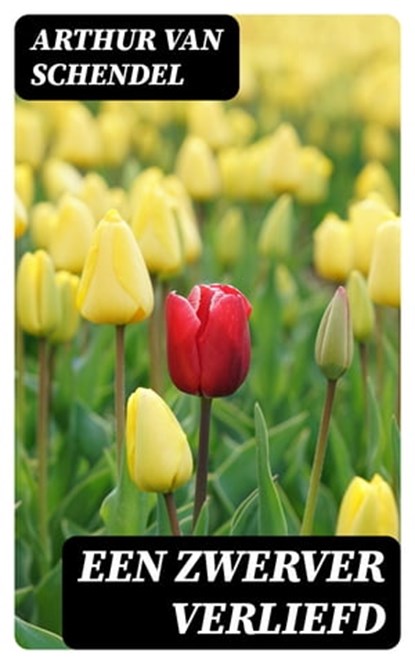 Een Zwerver Verliefd, Arthur van Schendel - Ebook - 8596547476962