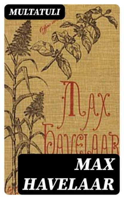 Max Havelaar, Multatuli - Ebook - 8596547477440