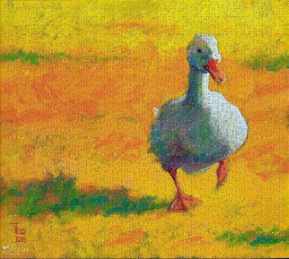 Witte Eend - Theo Onnes (1000), niet bekend - Gebonden - 8713341900053