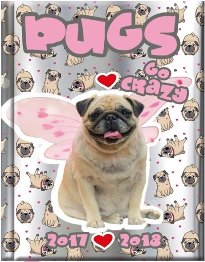 Schoolagenda Pugs schoolagenda 2017/2018, niet bekend - Overig Gebonden - 8719033219755