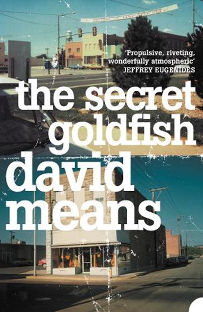 The Secret Goldfish, David Means - Paperback - 9780007164882