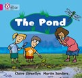 The Pond | Claire Llewellyn | 