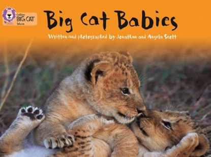 Big Cat Babies, Jonathan Scott ; Angela Scott - Paperback - 9780007185948
