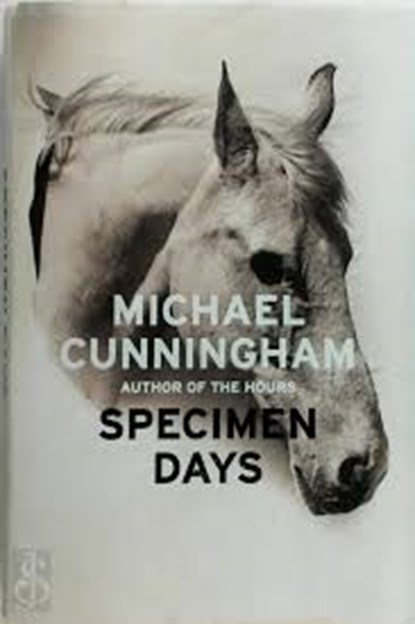 Specimen Dauys, CUNNINGHAM, Michael - Paperback - 9780007193844