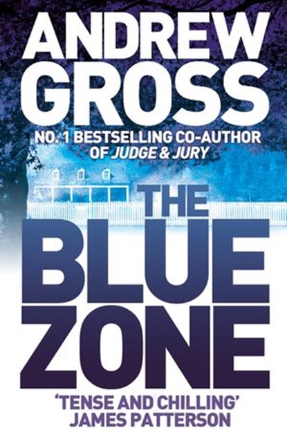 The Blue Zone, Andrew Gross - Ebook - 9780007236923
