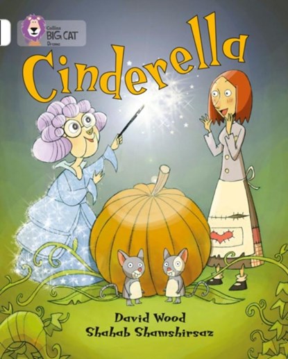 Cinderella, David Wood ; Shahab Shamshirsaz - Paperback - 9780007336180