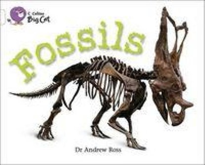 Fossils, Dr Andrew Ross - Paperback - 9780007336197