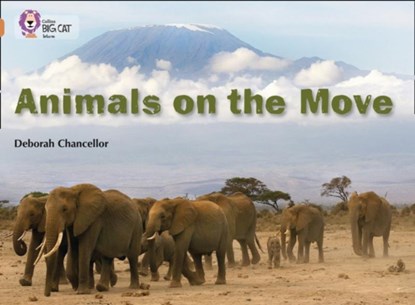 Animals on the Move, Deborah Chancellor - Paperback - 9780007336241