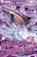 Stormy Skies, Summer Waters - Paperback - 9780007348138