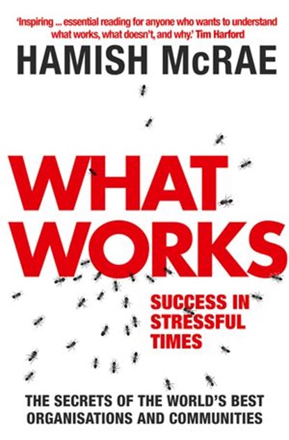 What Works: Success in Stressful Times, Hamish McRae - Ebook - 9780007358229