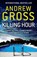 Killing Hour, Andrew Gross - Paperback - 9780007384365
