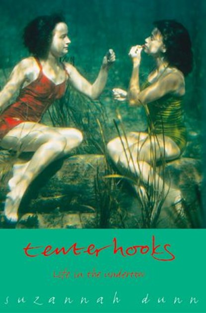Tenterhooks, Suzannah Dunn - Ebook - 9780007397204