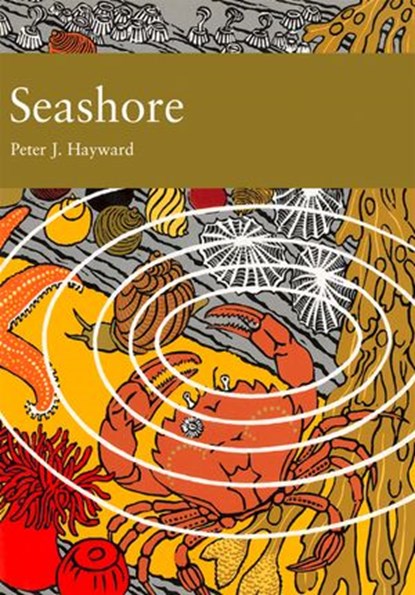 Seashore, Peter J. Hayward - Ebook - 9780007406043