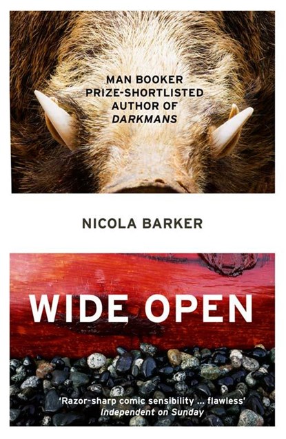 Wide Open, Nicola Barker - Paperback - 9780007435722
