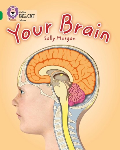 Your Brain, Sally Morgan - Paperback - 9780007465453