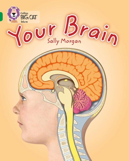 Your Brain, Sally Morgan - Paperback - 9780007465453