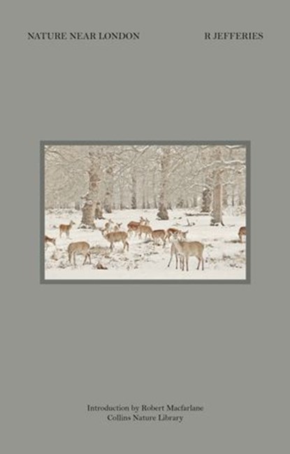 Nature Near London, Richard Jefferies - Ebook - 9780007479023