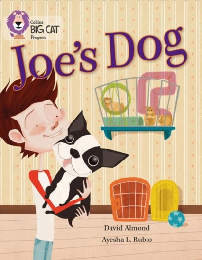 Joe’s Dog, David Almond - Paperback - 9780007498581