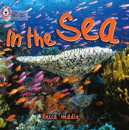 In the Sea, Becca Heddle - Paperback - 9780007512690