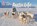 Arctic Life, Sean Callery - Paperback - 9780007512867