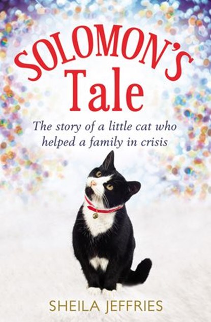 Solomon’s Tale, Sheila Jeffries - Ebook - 9780007523849