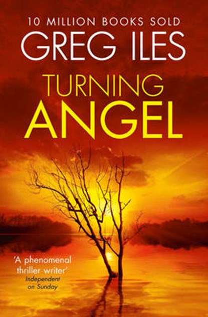Turning Angel, Greg Iles - Paperback - 9780007546541
