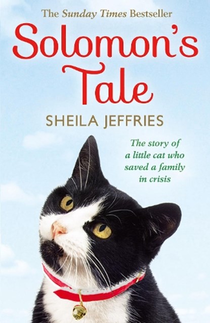 Solomon's Tale, JEFFRIES,  Sheila - Paperback - 9780007557660