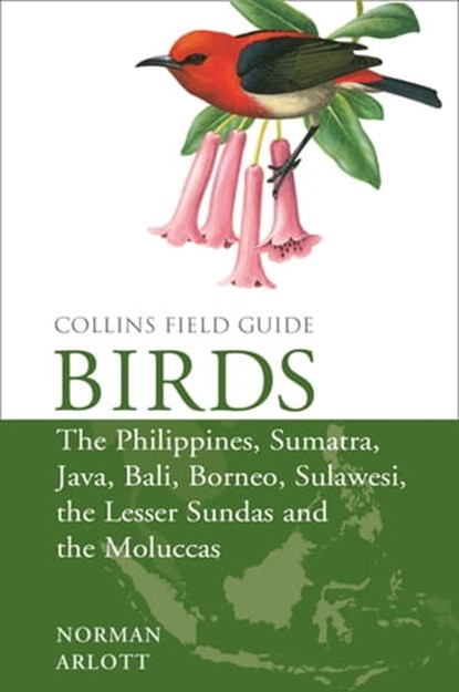 Birds of the Philippines: and Sumatra, Java, Bali, Borneo, Sulawesi, the Lesser Sundas and the Moluccas (Collins Field Guides), Norman Arlott - Ebook - 9780008102401