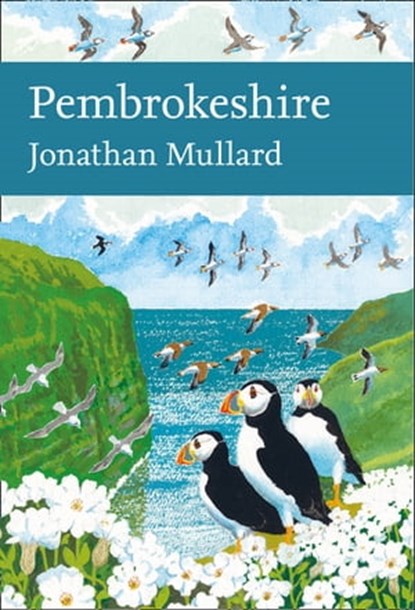 Pembrokeshire, Jonathan Mullard - Ebook - 9780008112813