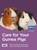 Care for Your Guinea Pigs, RSPCA - Paperback - 9780008118310