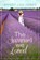 The Summer We Loved, Wendy Lou Jones - Paperback - 9780008124762