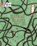 Sleeping Beauty, Rachel Rooney - Paperback - 9780008127718