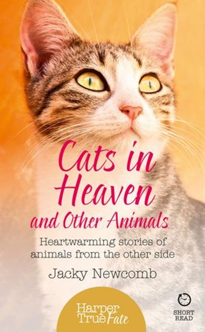 Cats in Heaven, Jacky Newcomb - Ebook - 9780008144463