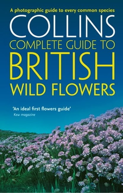 British Wild Flowers, Paul Sterry - Ebook - 9780008144586