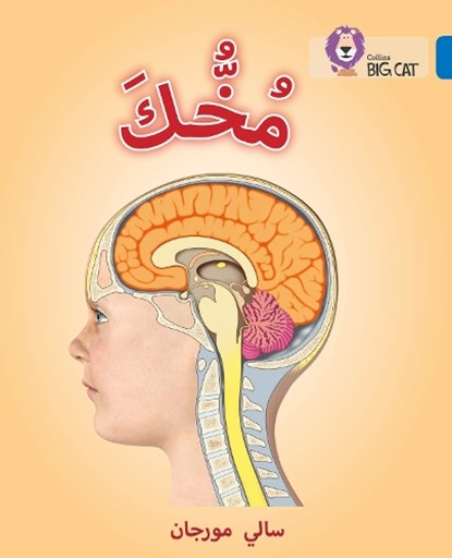 Your Brain, Sally Morgan - Paperback - 9780008156725