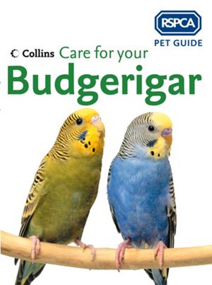 Care for your Budgerigar (RSPCA Pet Guide), RSPCA - Ebook - 9780008161200