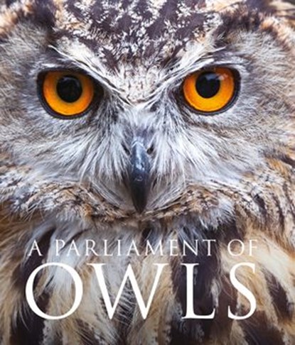 A Parliament of Owls, Mike Unwin - Ebook - 9780008206727