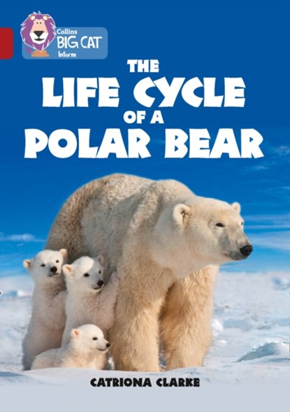 The Life Cycle of a Polar Bear, Catriona Clarke - Paperback - 9780008208813