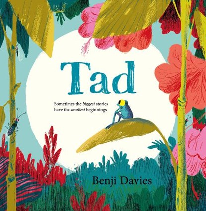 Tad, Benji Davies - Paperback Pocket - 9780008212827