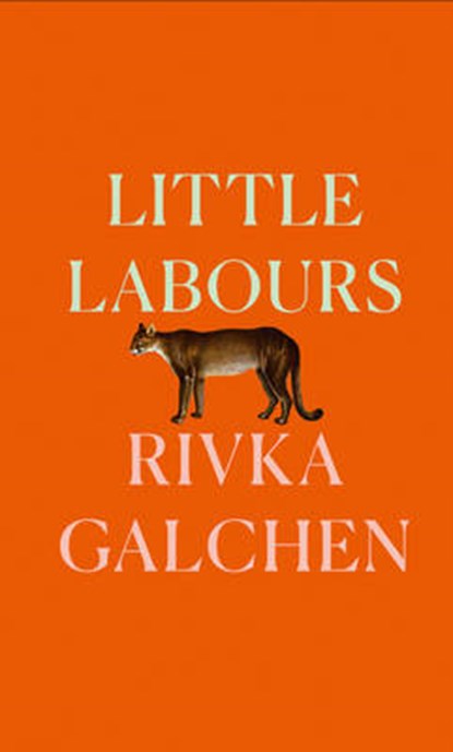 Little Labours, Rivka Galchen - Gebonden - 9780008225186