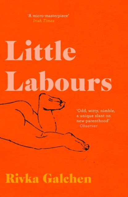 Little Labours, Rivka Galchen - Paperback - 9780008225209