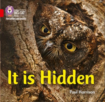 It is Hidden, Paul Harrison - Paperback - 9780008251512