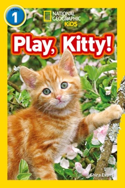 Play, Kitty!, Shira Evans - Paperback - 9780008266516