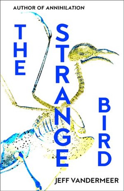 The Strange Bird, Jeff VanderMeer - Ebook - 9780008283346