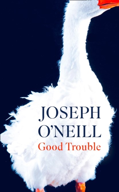 Good Trouble, Joseph O’Neill - Paperback - 9780008284039
