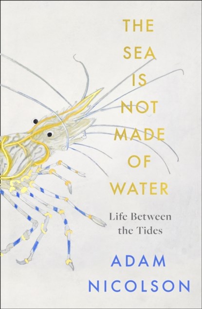 The Sea is Not Made of Water, NICOLSON,  Adam - Gebonden - 9780008294779
