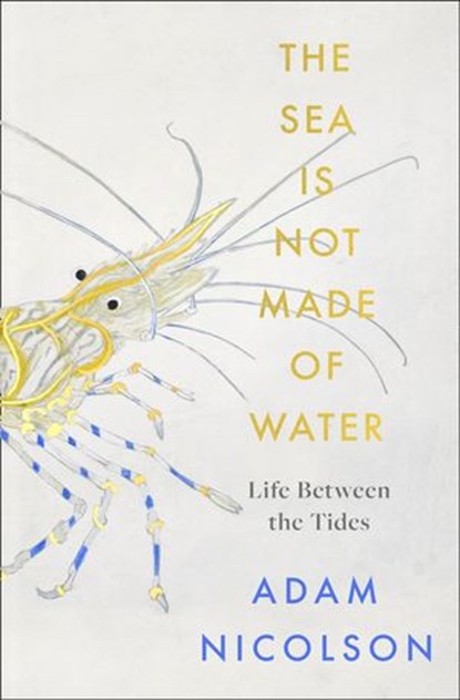 Life Between the Tides, Adam Nicolson - Ebook - 9780008294793