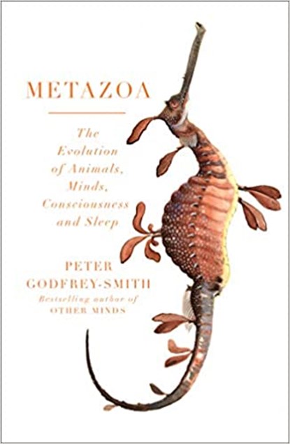 Metazoa, Peter Godfrey-Smith - Paperback - 9780008321208