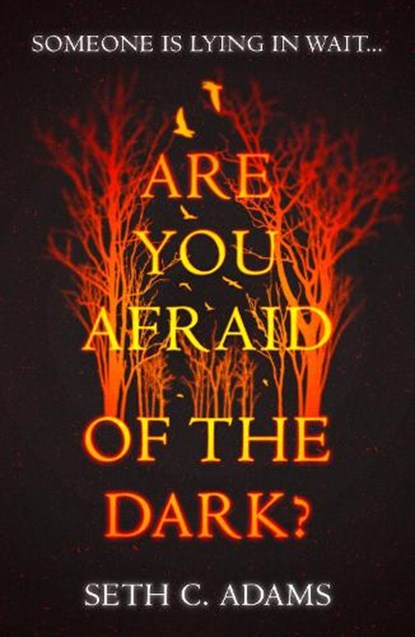 Are You Afraid of the Dark?, Seth C. Adams - Paperback - 9780008347680