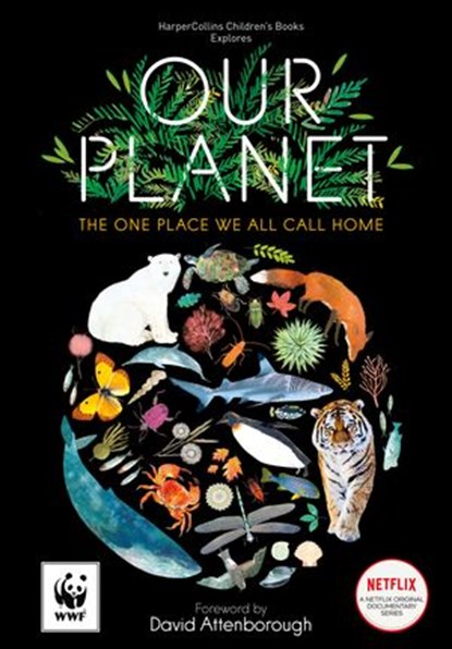 Our Planet, Matt Whyman - Ebook - 9780008375256